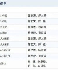 全红婵缺席跳水世界杯总决赛，陈芋汐将搭档14岁小将崔家溪出战女子双人10米台